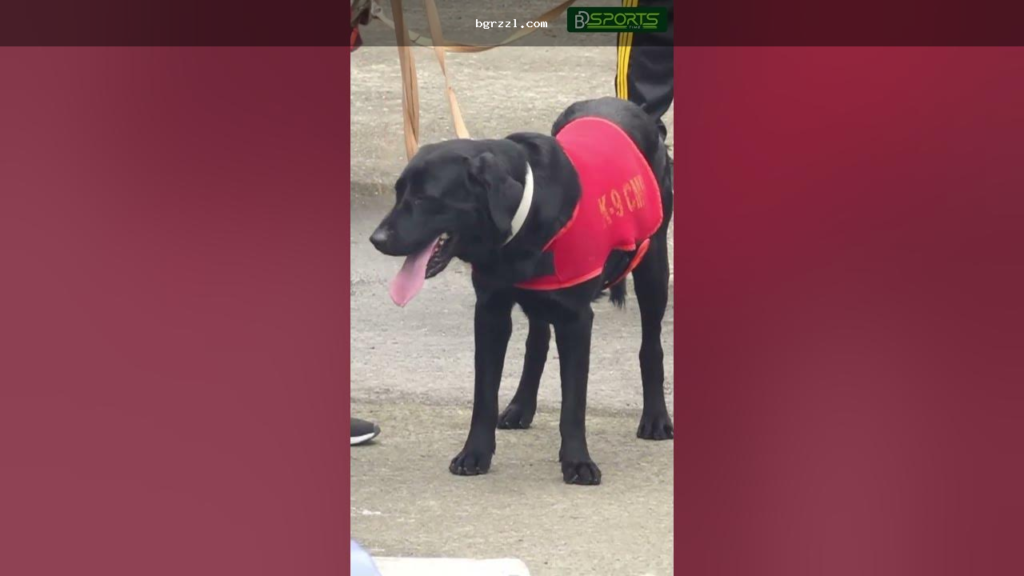 888 bet login খুঁজলে কী দেখেই থামবেন: সঠিক লিংক, নকল পেজ ও নিরাপদ প্রবেশের গাইড