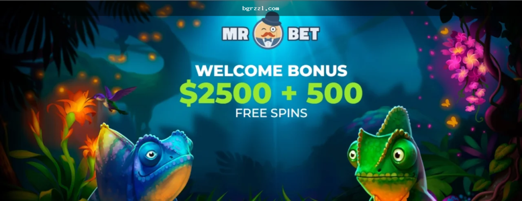 Bet bet betting sign up সার্চে নিরাপদ login যাচাইয়ের ধাপ