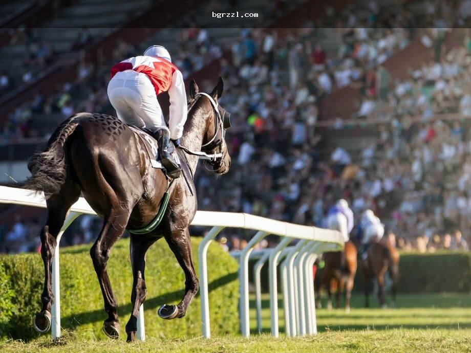 Betting Bet horse racing খুঁজছেন? অডস ও বেট স্লিপ কীভাবে মিলাবেন