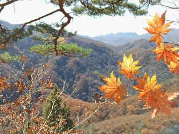 复星医药：2024年净利润同比增长16.08%，拟10派3.2元|界面新闻 · 快讯